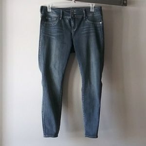 Torrid jeggings